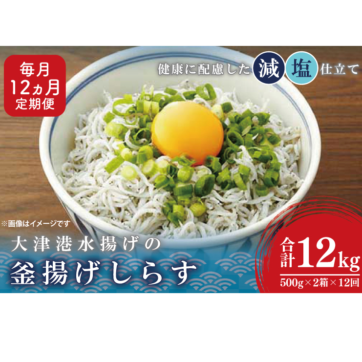 大津港水揚げの釜揚げしらす<12ヶ月定期便><毎月> 1kg×12回【海鮮 魚介類 しらす シラス ご飯のお供 たっぷり お手頃 個包装】(AS215)茨城県北茨城市156500魚介・海産物干物