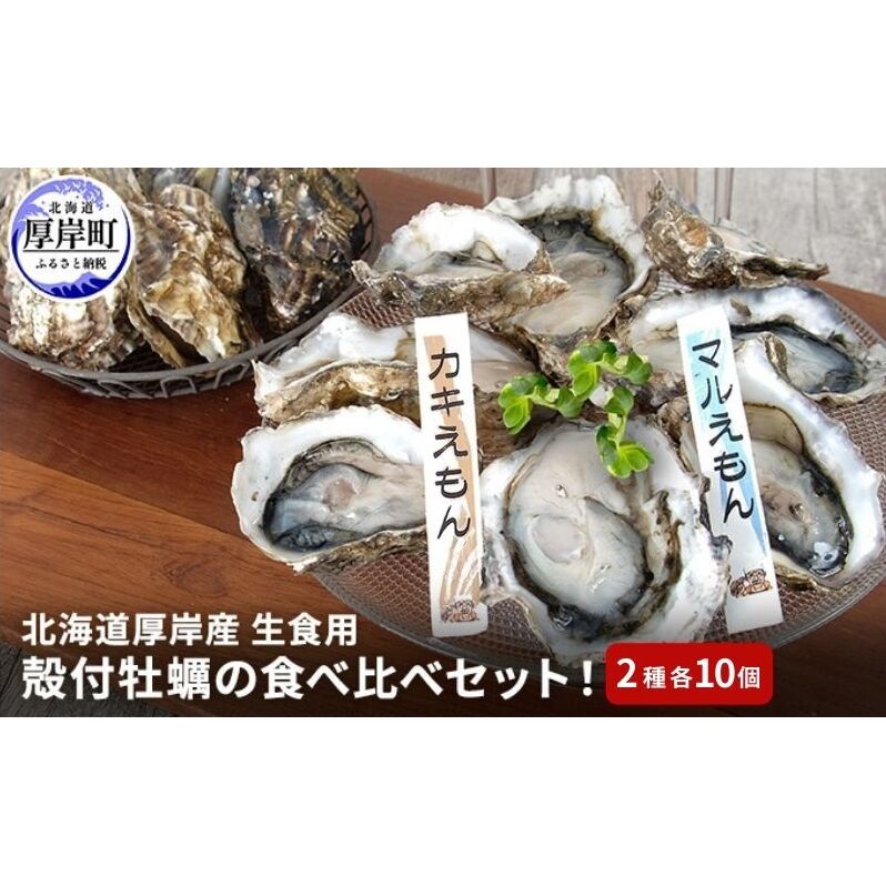 北海道 厚岸産 殻付牡蠣の食べ比べセット!(生食用)  牡蠣 カキ かき 生食 生食用 生牡蠣  食べ比べ 魚貝類 北海道厚岸町18000魚介・海産物鮮魚