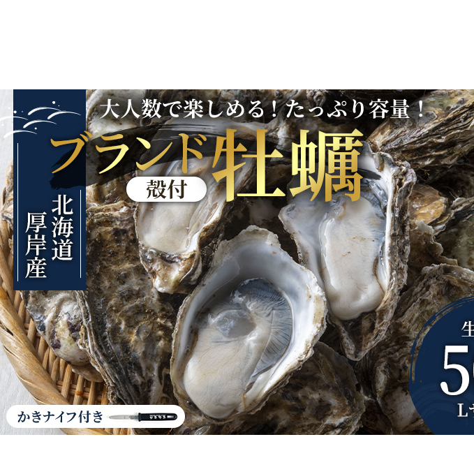 パーティー用 北海道 厚岸産牡蠣 Lサイズ50個入(目安:10人前) ふるさと納税 北海道 牡蠣 カキ かき 生食 生食用 生牡蠣 パーティー ミルク 魚貝類 殻付き牡蠣 シーフード マルえもん北海