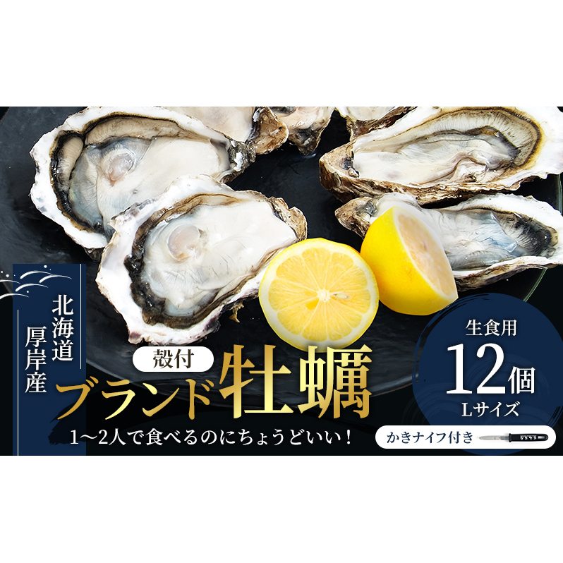 北海道厚岸産 牡蠣 Lサイズ 1ダース(12個入り) 生食用 生牡蠣 貝付き牡蠣 貝 海鮮 魚介類 シーフード 殻付き牡蠣 マルえもん メルマガ掲載商品1 北海道厚岸町16000魚介・海産物鮮魚