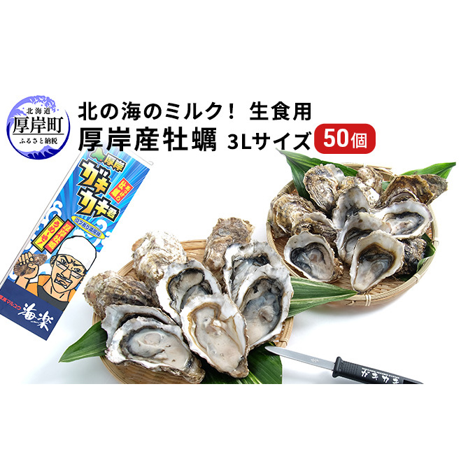 北の海のミルク! 厚岸産 牡蠣 3Lサイズが50個! 生食用 生牡蠣 貝付き牡蠣 貝 海鮮 魚介類 殻付き牡蠣 マルえもん メルマガ掲載商品3 北海道厚岸町81000魚介・海産物鮮魚