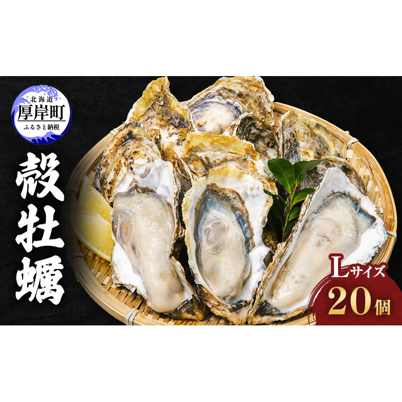 厚岸産 殻牡蠣 Lサイズ 20個 セットカキ 牡蠣 魚介類  新鮮 濃厚 大粒 マルえもん メルマガ掲載商品2 北海道厚岸町22000魚介・海産物鮮魚