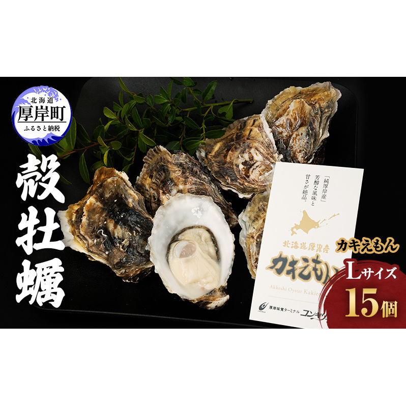 厚岸産 牡蠣  カキえもん Lサイズ 15個   北海道 牡蠣 カキ かき 生食 生食用 生牡蠣 魚貝類 シーフード北海道厚岸町22000魚介・海産物鮮魚
