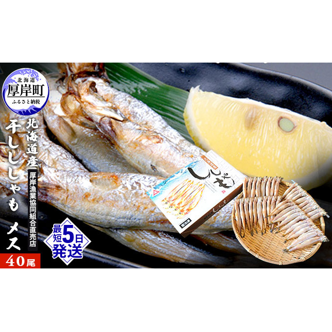 北海道産 干ししゃも メス40尾  北海道 干物 ひもの 魚 ししゃも シシャモ 魚貝類 北海道厚岸町23000魚介・海産物その他 魚介・海産物