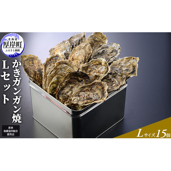 y݋Xz KK LZbg 15 kC y JL   y kt   }kCݒ21000ECYN