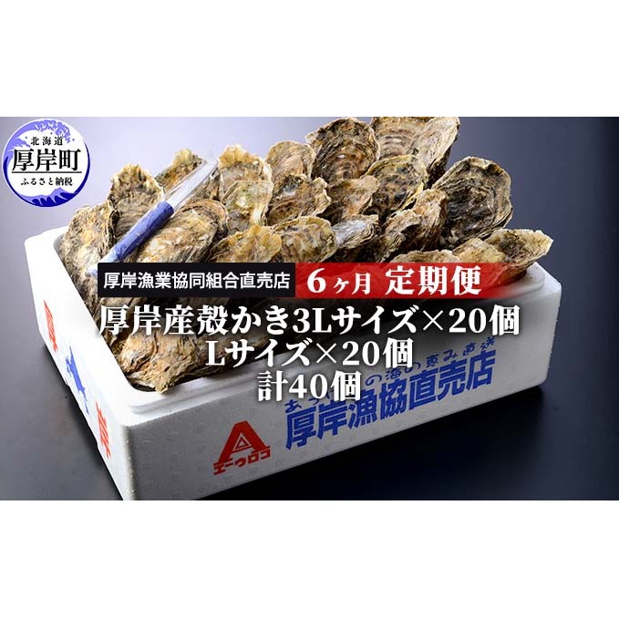 定期便 6ヶ月 北海道 厚岸産 牡蠣 3L 20個 と L 20個 ひと月あたり40個お届け (各回40個×6ヶ月分,合計240個) 殻付き 生食 かき カキ 魚貝類 生牡蠣 マルえもん北海道厚岸町258000魚介・海産物鮮魚