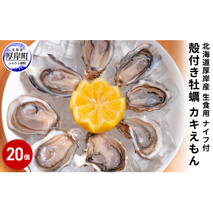厚岸産 殻付き牡蠣(カキえもん)20個 生食用 ナイフ付(1個40〜59g) 魚貝類 生牡蠣 かき 簡易ナイフ付 北海道厚岸町18000魚介・海産物鮮魚