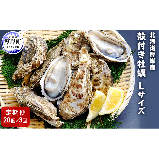 3  ݎY kt y kTCY 20 (e20×3,v60) JLiCtt Met L y  kty } 3J 3 }Kfڏi2 kC