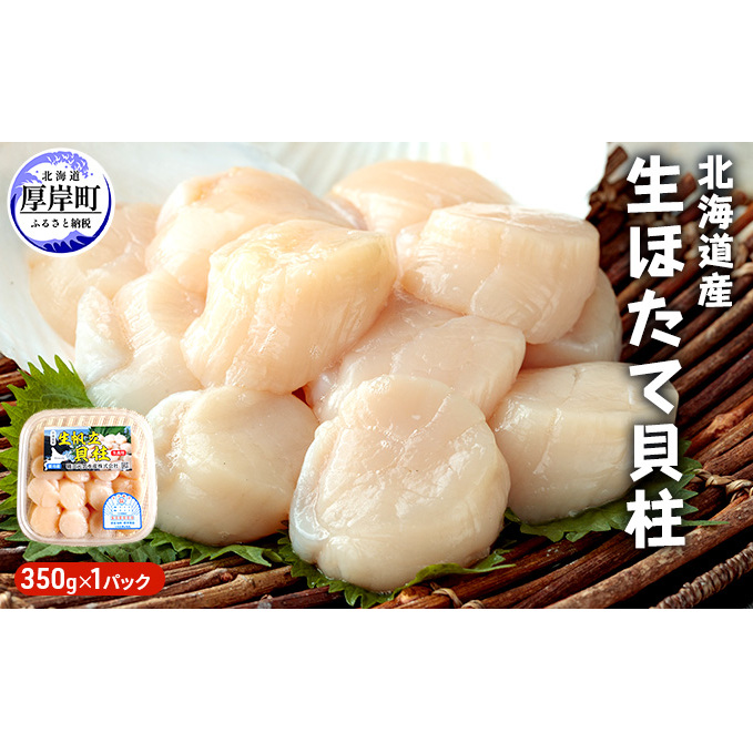 北海道産 生ほたて 貝柱 350g×1パック ホタテ 帆立 魚貝類 生ほたて貝柱 北海道厚岸町15000魚介・海産物貝類
