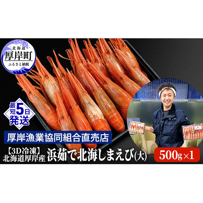 えび 3D冷凍 北海道 厚岸産 浜茹で 北海しまえび 大サイズ 500g (25尾前後) 海老 エビ 北海道厚岸町21000魚介・海産物エビ
