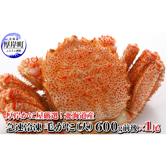 厚岸かに屋厳選!北海道産 急速冷凍 毛がに(大)600g前後×1尾  毛カニ 蟹 北海道厚岸町26000魚介・海産物カニ