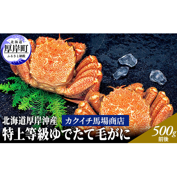 先行予約 蟹屋厳選 北海道 厚岸沖産 特上等級 ゆでたて 毛がに (500g前後×2尾 蟹 毛カニ 毛ガニ 冷蔵 茹でガニ 北海道厚岸町38000魚介・海産物カニ