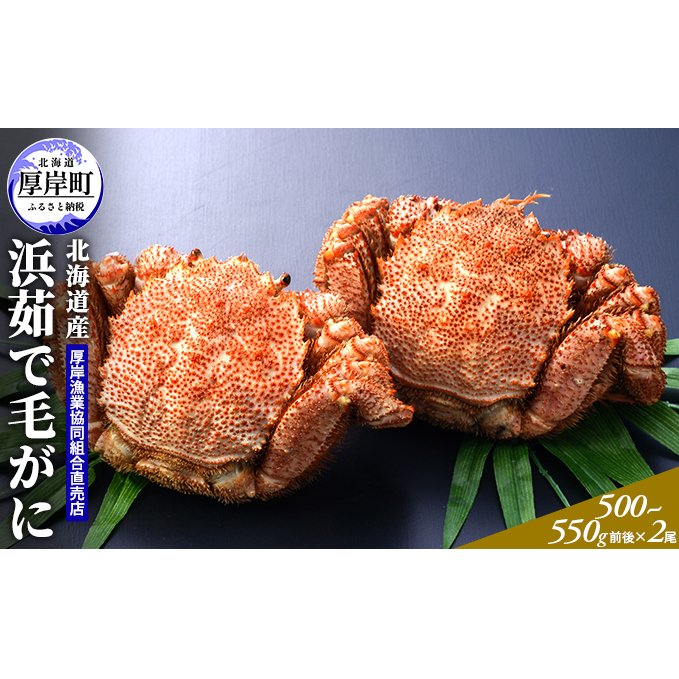 北海道産 浜茹で 毛がに(500〜550g前後)2尾 毛カニ 蟹 かに カニ 魚貝類 北海道厚岸町53000魚介・海産物カニ