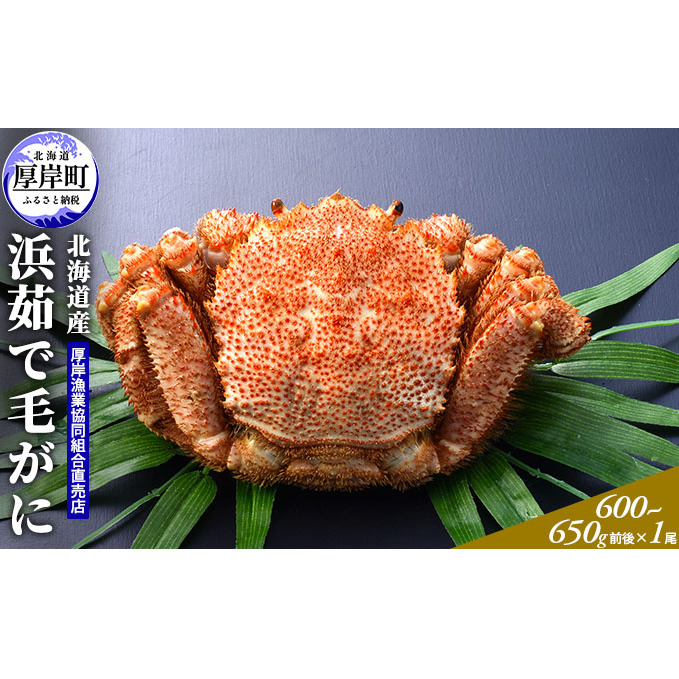 北海道産 浜茹で 毛がに(600〜650g前後)1尾 毛カニ 蟹 かに カニ 魚貝類 北海道厚岸町35000魚介・海産物カニ