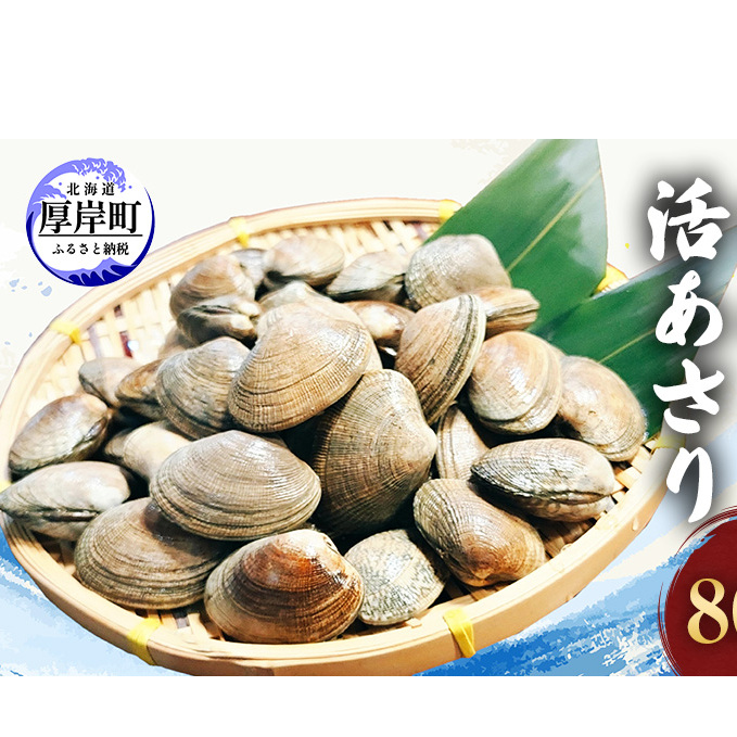 北海道 厚岸産 砂出し済み 活殻付き あさり 800g  新鮮 美味しい アサリ 貝 海鮮 北海道産 魚介 冷蔵 北海道厚岸町12000魚介・海産物貝類