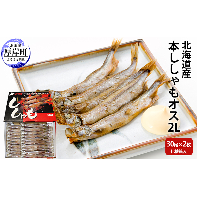 北海道産 本ししゃも オス2Lサイズ 30尾×2枚 化粧箱入 (合計60尾入り) 魚貝類 海鮮 海の幸 魚 魚料理 夕飯 夜ごはん おかず 食材 つまみ お酒のあて 肴 国産 国産シシャモ 北海道厚岸町34000魚介