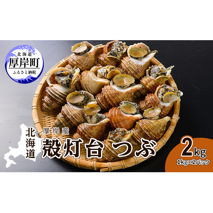 先行受付 北海道 厚岸産 殻灯台 つぶ 2kg(1kg×2パック) 魚介類 海の幸 海産物 海鮮 貝 つぶ貝 希少 下処理不要 刺身 塩茹で お酒のあて つまみ 国産 北海道産 北海道厚岸町12000魚介・海産物