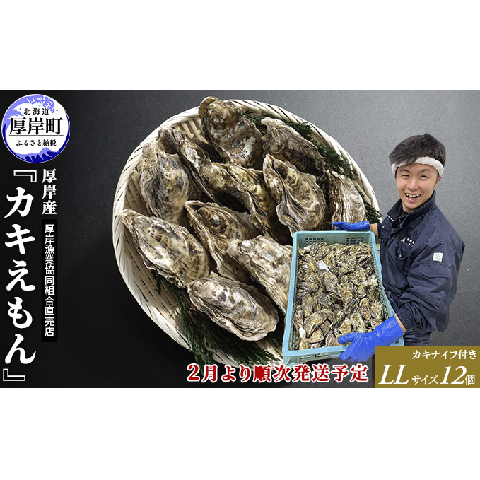 2025年2月発送 厚岸産 ブランドかき カキえもん LLサイズ 魚貝類 海鮮 海の幸 生牡蠣 生食用 生食用牡蠣 オイスター 厚岸産カキえもん 殻かき 北海道厚岸町16000魚介・海産物鮮魚