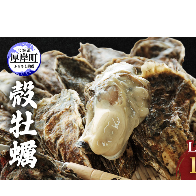 牡蠣 厚岸産殻牡蠣 LLサイズ 15個 セット 魚介類 産地直送 生牡蠣 オイスター 海の幸 海鮮 生食用 生食用牡蠣 北海道厚岸町18000魚介・海産物貝類