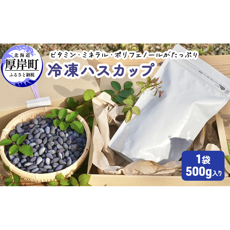 厚岸ハスカ 冷凍ハスカップ 1袋(500g) アントシアニン スーパーフード 果実 ビタミン ミネラル 抗酸化作用 ポリフェノール 北海道産 北海道厚岸町15000野菜・きのこその他 野菜