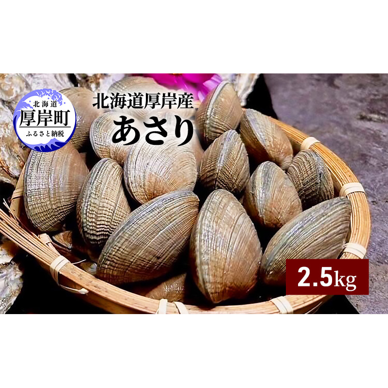 北海道 厚岸産 あさり 2.5kg 海産物 海の幸 味が濃い 貝類 貝 みそ汁 酒蒸し アサリバター 食材 食べ物 パスタ 北海道厚岸町20000魚介・海産物貝類