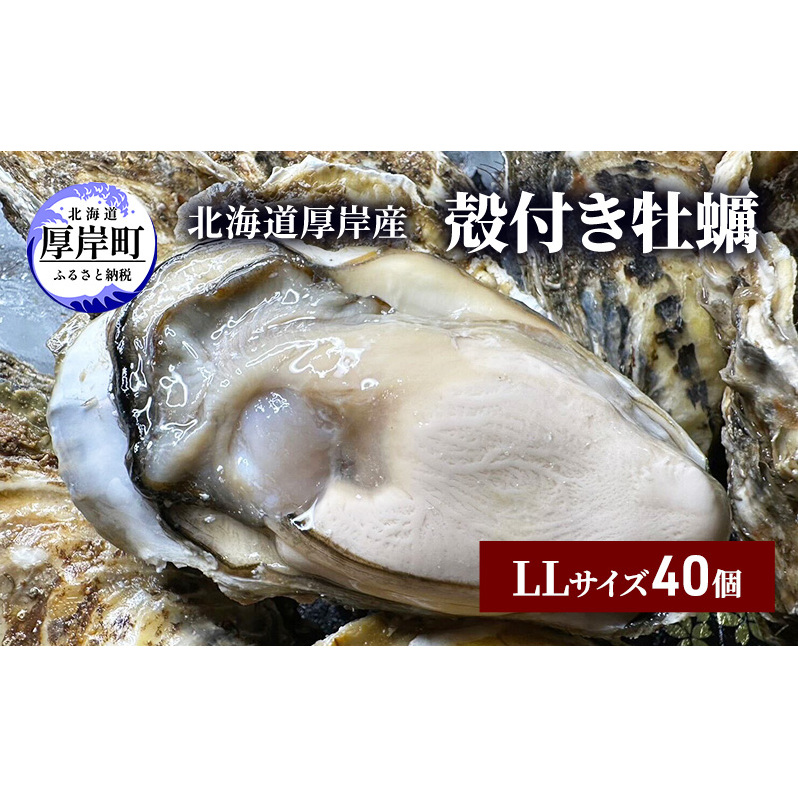 北海道 厚岸産 殻付き 牡蠣 LLサイズ 40個 魚貝類 生牡蠣 海鮮 海の幸 生食用牡蠣 生食用 生食用殻付き牡蠣 濃厚 甘み マルえもん オイスター 北海道厚岸町40000魚介・海産物鮮魚