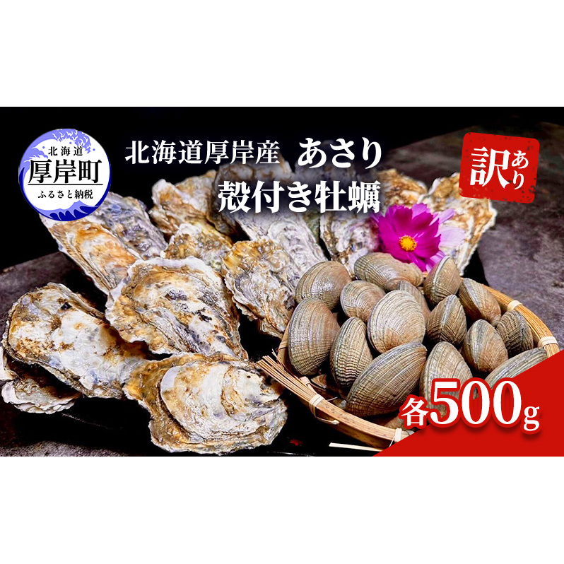 訳あり 北海道 厚岸産 あさり 殻付き牡蠣 各500g 魚貝類 海の幸 グルメ 大粒 肉厚 海鮮 オイスター 濃厚な甘み 北海道厚岸町12000魚介・海産物鮮魚