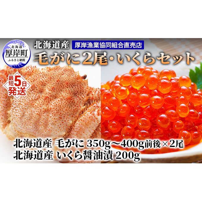 厚岸漁協イチオシ!【3D冷凍】北海道産 毛がに(約350g〜400g)2尾・いくら200gセット 毛カニ 蟹 毛蟹 魚卵 魚介類 魚介 北海道厚岸町35000魚介・海産物カニ