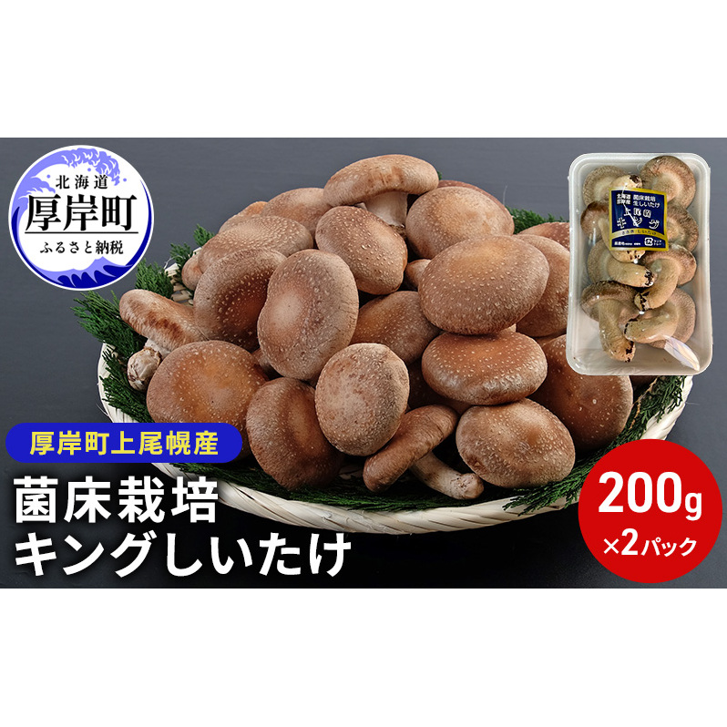北海道産 厚岸町 上尾幌 菌床栽培 キングしいたけ 2パック 北海道厚岸町4000野菜・きのこきのこ