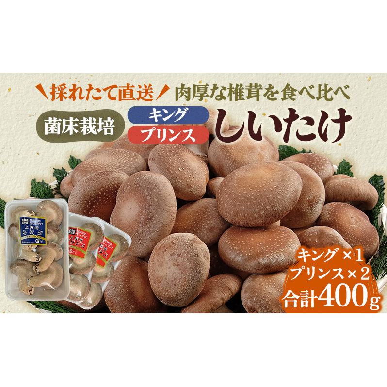 北海道産 厚岸町 上尾幌 菌床栽培 キングしいたけ 1パック プリンスしいたけ 2パック 北海道厚岸町4000野菜・きのこきのこ