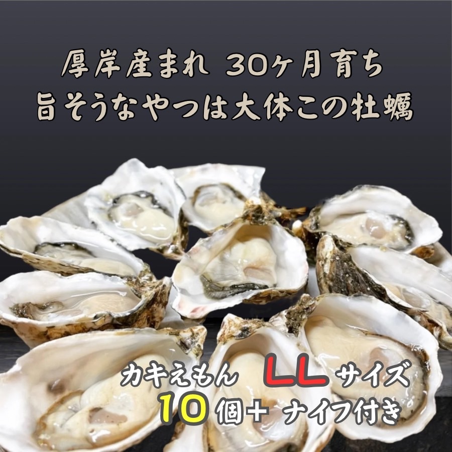 厚岸で産まれ30ヵ月育成 北海道 厚岸産 牡蠣 カキえもん LLサイズ 10個 カキ 北海道厚岸町16000魚介・海産物鮮魚