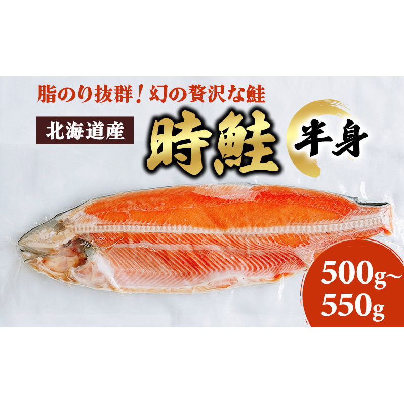 北海道産 時鮭 半身 500g〜550g 鮭 さけ シャケ 魚 甘塩 冷凍 半身加工 旬 北海道厚岸町5000魚介・海産物その他 魚介・海産物