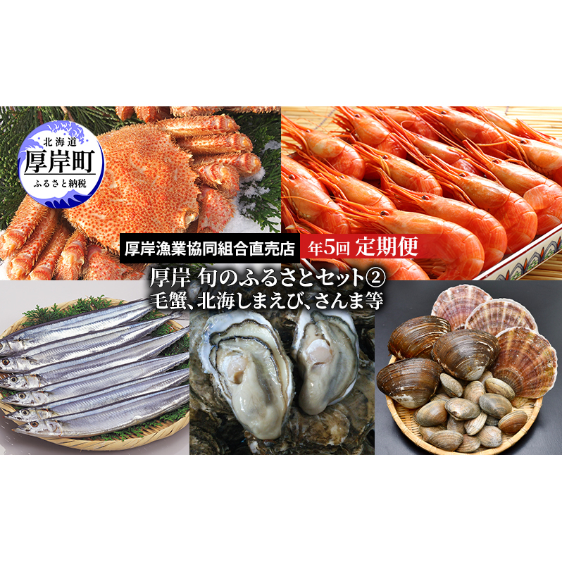 ݏ{̂ӂ邳ƃZbg@N5񂨓͂iъIAkC܂сAܓjkCݒ125000ECYGr