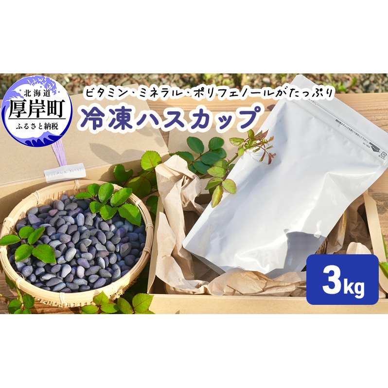 厚岸ハスカ 冷凍 ハスカップ 3kg 果物 北海道厚岸町51000野菜・きのこその他 野菜