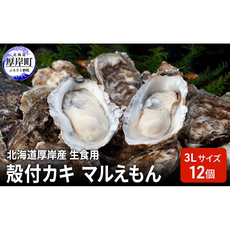 北海道厚岸産 生食用 殻付カキ 3Lサイズ  12個 マルえもん 魚貝類 海の幸 海のミルク 海鮮 国産 北海道産 オイスター つまみ お酒 あて 肴 生牡蠣 メルマガ掲載商品1北海道厚岸町22000魚介・