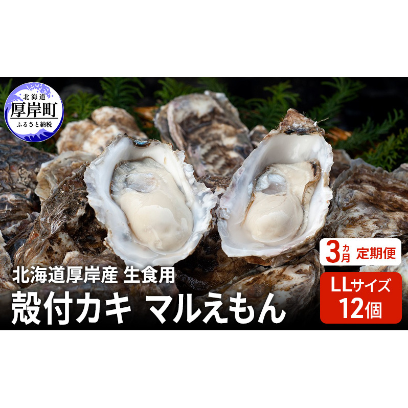 【 3ヵ月 定期便 】 北海道厚岸産 生食用 殻付カキ LLサイズ  12個 マルえもん 魚貝類 海の幸 海のミルク 海鮮 国産 北海道産 オイスター つまみ お酒 あて 肴 生牡蠣 メルマガ掲載商品1北海