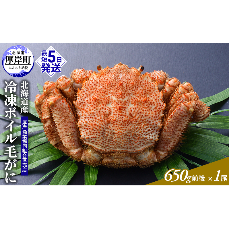 󂠂 3DⓀ kCYⓀ{Cт 650gO×1 [ уJj I уKj Jj  ] kCݒ18000ECYJj