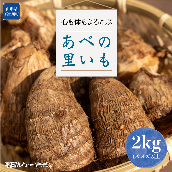 心も体もよろこぶ あべの里いも2kg山形県真室川町10000野菜・きのこ