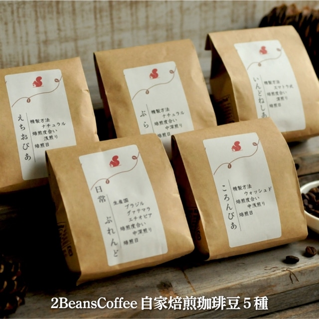 蓤Zbg(100g×5)kCO}s 2BeansCoffeeJtF y06001zkCO}s18000ER[q[Eg