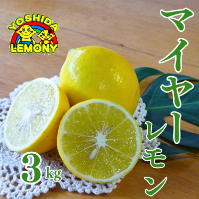 送料込み【熊本県産】国産 マイヤーレモン 約20kg 家庭用 規格外品 先行予約 レモン 国産マイヤーレモン 3kg【1016403】 | 熊本県宇