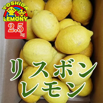 先行予約 レモン  国産リスボンレモン 2.5kg【1017264】熊本県宇城市13000果物・フルーツみかん・柑橘類