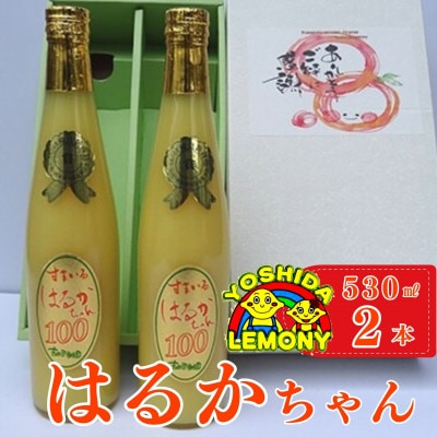 はるかちゃん 530ml 2本セット【1111489】熊本県宇城市20000お茶・飲料果汁・野菜飲料