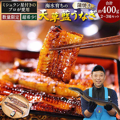 希少!数量限定!海水育ちの天草藍うなぎ 蒲焼き2〜3尾セット (宇城市)【配送不可地域:離島】【1244332】熊本県宇城市24000魚介・海産物うなぎ