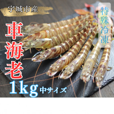 yⓀzԊCV1kg (36~44)g^pbNuԗⓀőNxQyzsnFzy1244719zF{Fs39000ECYGr