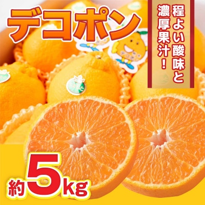 【2024年12月より順次発送】宇城市産 デコポン 約5kg【1352232】熊本県宇城市29000果物・フルーツみかん・柑橘類