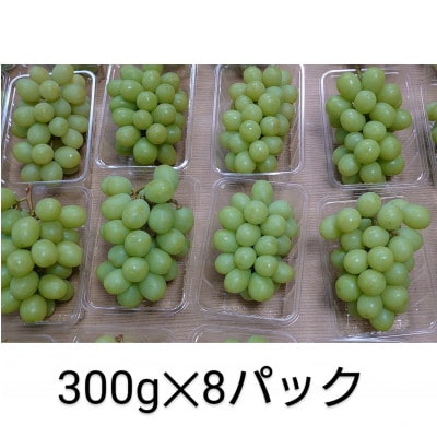 s2025N8菇tFsYE嗱VC}XJbg 300g×8pbNyzsnFzy1420859zF{Fs38000ʕEt[c}XJbgEԂǂ