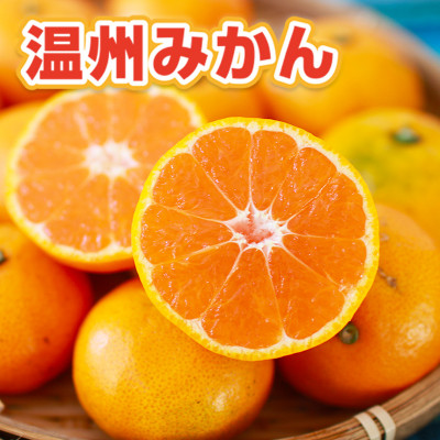 宇城市産 温州みかん 約12kg【1421409】熊本県宇城市18000果物・フルーツみかん・柑橘類