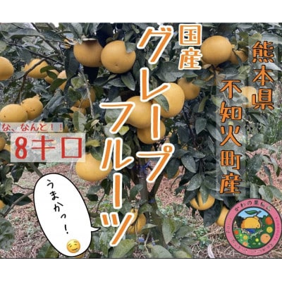 【先行予約】熊本県 宇城市 国産 グレープフルーツ 8kg 【かわの果樹園】【1440187】熊本県宇城市18000果物・フルーツみかん・柑橘類