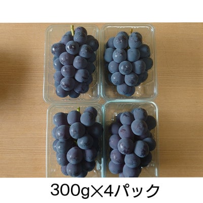 s2024N7{菇tFsYEȂsI[l300g×4pbNyzsnFzy1471130zF{Fs20000ʕEt[c}XJbgEԂǂ