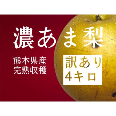 (訳あり品)濃あま梨4kg【配送不可地域:離島】【1481545】熊本県宇城市14000果物・フルーツりんご・梨